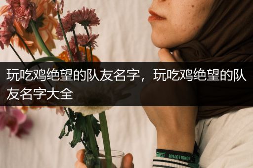 玩吃鸡绝望的队友名字，玩吃鸡绝望的队友名字大全