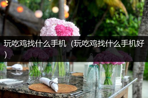 玩吃鸡找什么手机（玩吃鸡找什么手机好）
