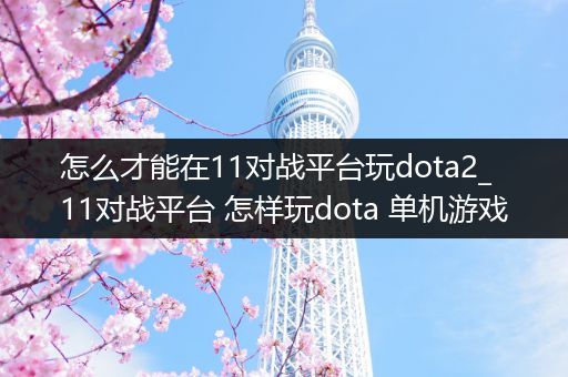 怎么才能在11对战平台玩dota2_11对战平台 怎样玩dota 单机游戏