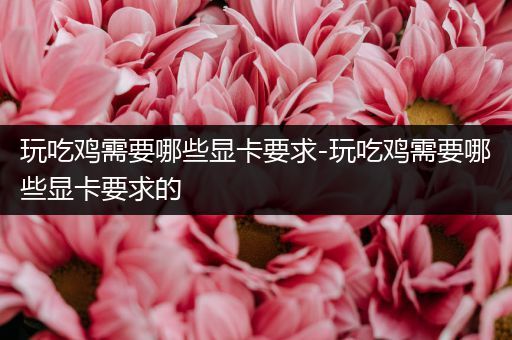 玩吃鸡需要哪些显卡要求-玩吃鸡需要哪些显卡要求的