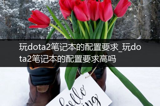 玩dota2笔记本的配置要求_玩dota2笔记本的配置要求高吗