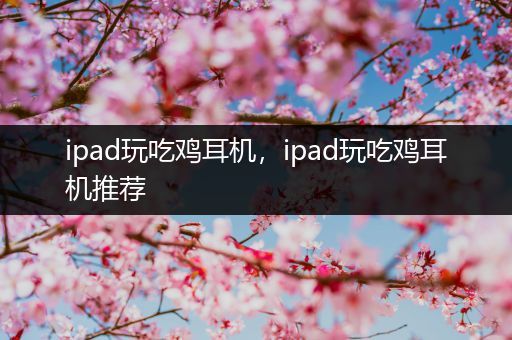ipad玩吃鸡耳机，ipad玩吃鸡耳机推荐
