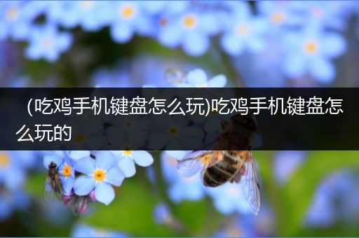 （吃鸡手机键盘怎么玩)吃鸡手机键盘怎么玩的