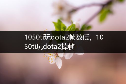 1050ti玩dota2帧数低，1050ti玩dota2掉帧