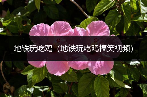 地铁玩吃鸡（地铁玩吃鸡搞笑视频）