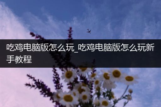 吃鸡电脑版怎么玩_吃鸡电脑版怎么玩新手教程