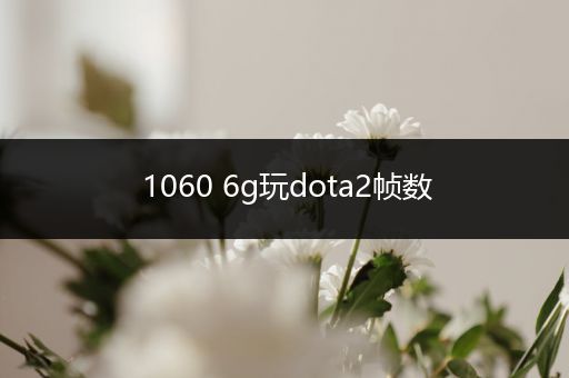 1060 6g玩dota2帧数