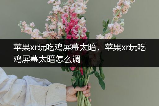 苹果xr玩吃鸡屏幕太暗，苹果xr玩吃鸡屏幕太暗怎么调