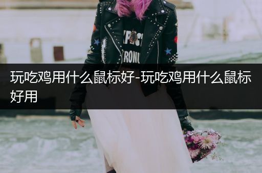 玩吃鸡用什么鼠标好-玩吃鸡用什么鼠标好用
