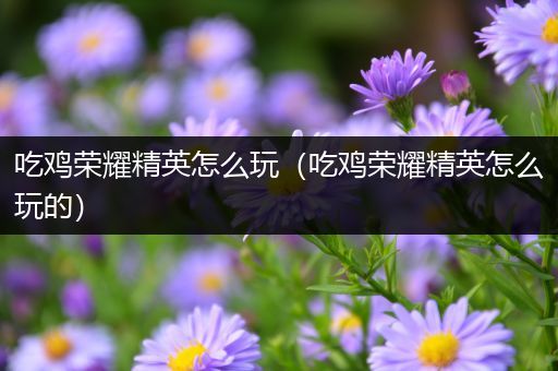 吃鸡荣耀精英怎么玩（吃鸡荣耀精英怎么玩的）