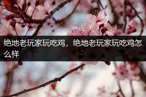 绝地老玩家玩吃鸡，绝地老玩家玩吃鸡怎么样
