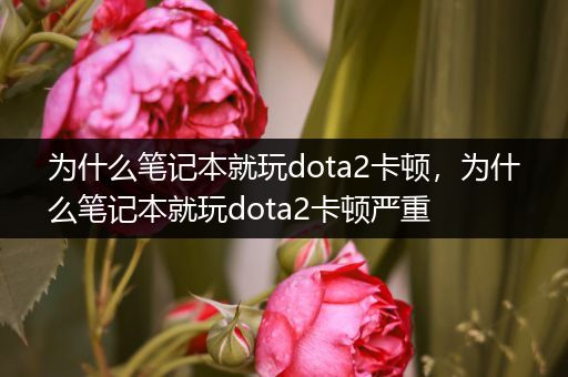 为什么笔记本就玩dota2卡顿，为什么笔记本就玩dota2卡顿严重