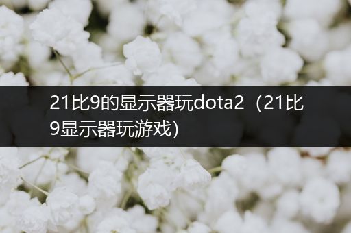 21比9的显示器玩dota2（21比9显示器玩游戏）