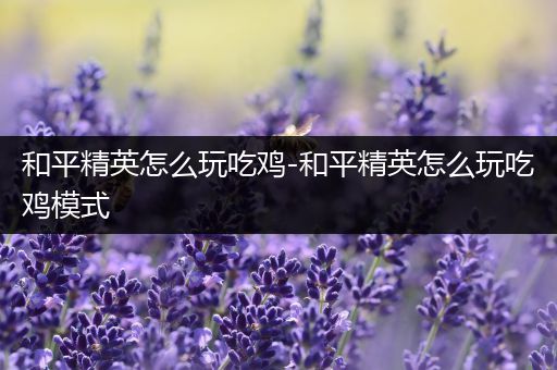 和平精英怎么玩吃鸡-和平精英怎么玩吃鸡模式