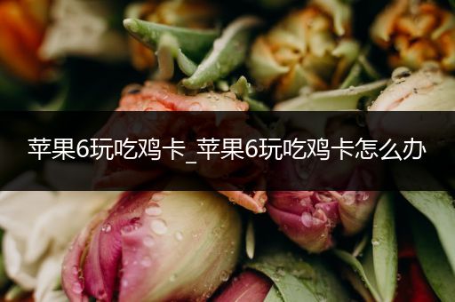 苹果6玩吃鸡卡_苹果6玩吃鸡卡怎么办