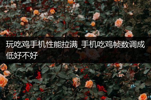 玩吃鸡手机性能拉满_手机吃鸡帧数调成低好不好