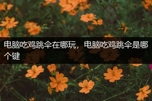 电脑吃鸡跳伞在哪玩，电脑吃鸡跳伞是哪个键