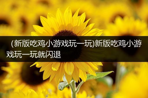 （新版吃鸡小游戏玩一玩)新版吃鸡小游戏玩一玩就闪退