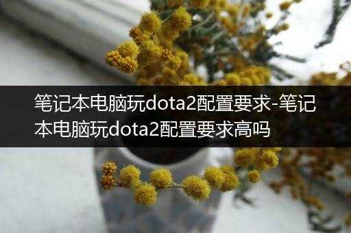 笔记本电脑玩dota2配置要求-笔记本电脑玩dota2配置要求高吗