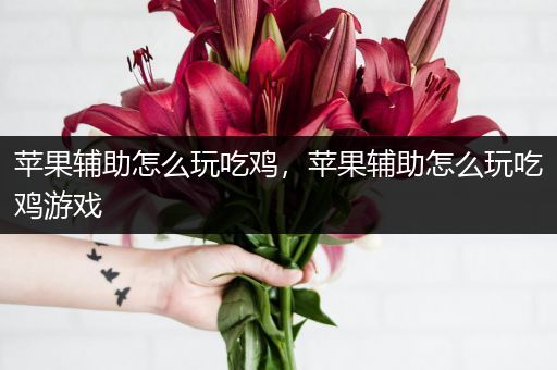 苹果辅助怎么玩吃鸡，苹果辅助怎么玩吃鸡游戏