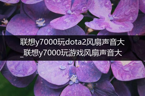 联想y7000玩dota2风扇声音大_联想y7000玩游戏风扇声音大
