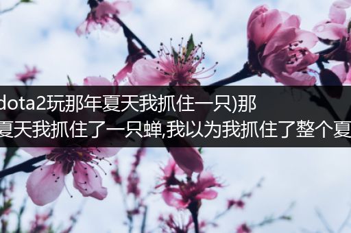 （dota2玩那年夏天我抓住一只)那年夏天我抓住了一只蝉,我以为我抓住了整个夏天!