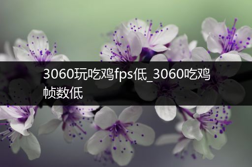 3060玩吃鸡fps低_3060吃鸡帧数低