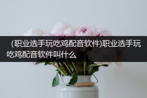 （职业选手玩吃鸡配音软件)职业选手玩吃鸡配音软件叫什么