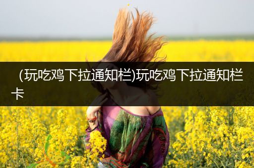 （玩吃鸡下拉通知栏)玩吃鸡下拉通知栏卡