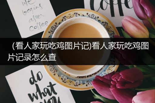 （看人家玩吃鸡图片记)看人家玩吃鸡图片记录怎么查