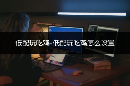 低配玩吃鸡-低配玩吃鸡怎么设置