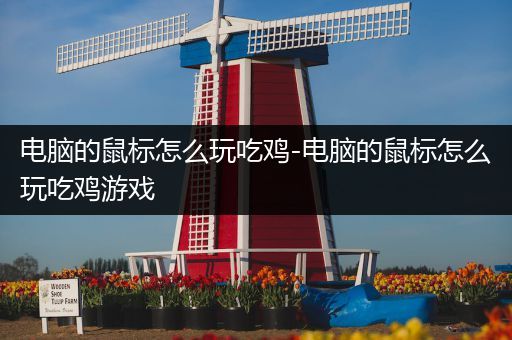 电脑的鼠标怎么玩吃鸡-电脑的鼠标怎么玩吃鸡游戏