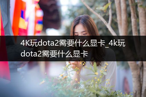 4K玩dota2需要什么显卡_4k玩dota2需要什么显卡