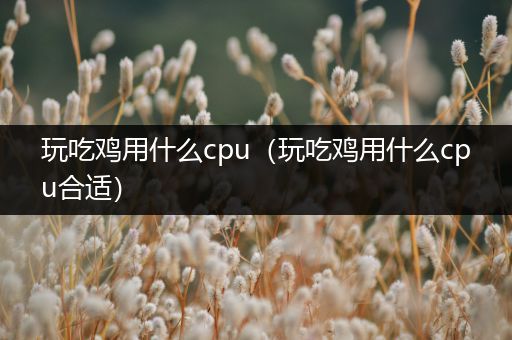 玩吃鸡用什么cpu（玩吃鸡用什么cpu合适）