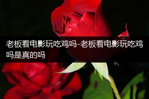 老板看电影玩吃鸡吗-老板看电影玩吃鸡吗是真的吗