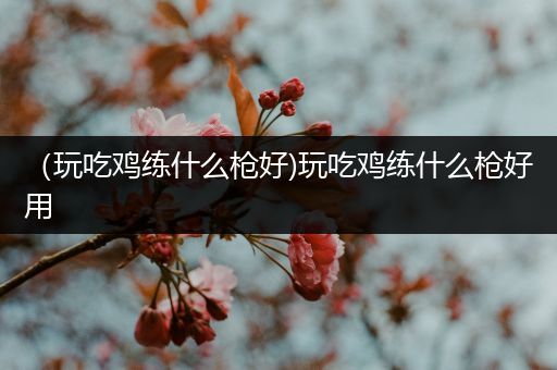 （玩吃鸡练什么枪好)玩吃鸡练什么枪好用