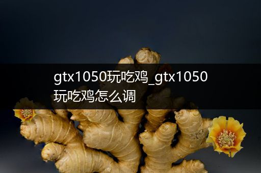 gtx1050玩吃鸡_gtx1050玩吃鸡怎么调