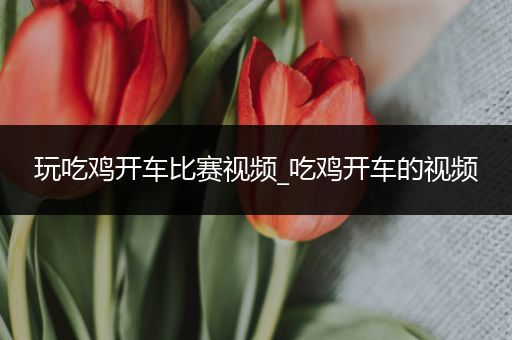 玩吃鸡开车比赛视频_吃鸡开车的视频