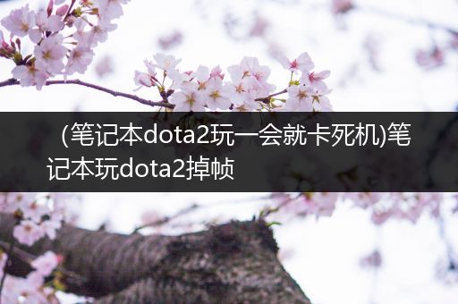 （笔记本dota2玩一会就卡死机)笔记本玩dota2掉帧