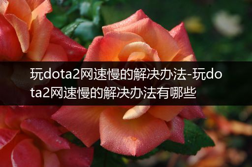 玩dota2网速慢的解决办法-玩dota2网速慢的解决办法有哪些