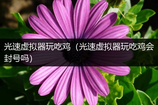 光速虚拟器玩吃鸡（光速虚拟器玩吃鸡会封号吗）