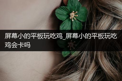 屏幕小的平板玩吃鸡_屏幕小的平板玩吃鸡会卡吗