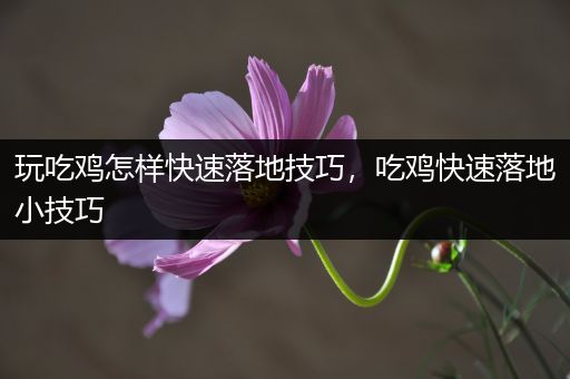 玩吃鸡怎样快速落地技巧，吃鸡快速落地小技巧