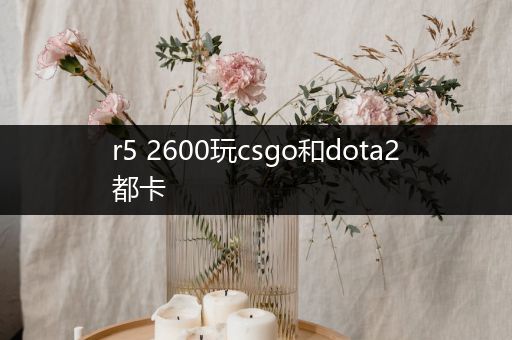r5 2600玩csgo和dota2都卡