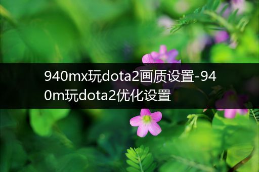 940mx玩dota2画质设置-940m玩dota2优化设置