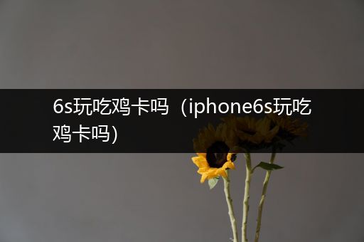 6s玩吃鸡卡吗（iphone6s玩吃鸡卡吗）