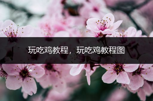 玩吃鸡教程，玩吃鸡教程图