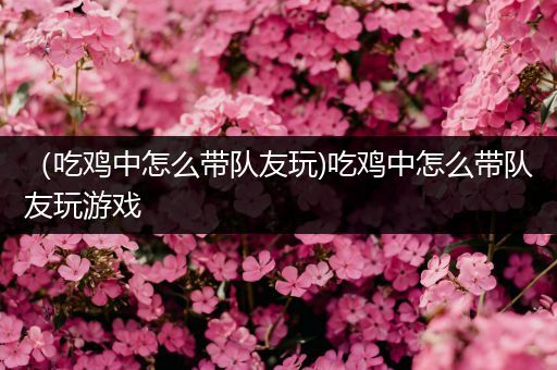 （吃鸡中怎么带队友玩)吃鸡中怎么带队友玩游戏