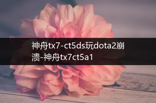 神舟tx7-ct5ds玩dota2崩溃-神舟tx7ct5a1