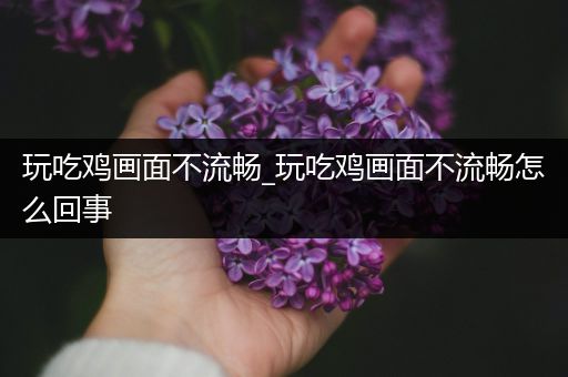 玩吃鸡画面不流畅_玩吃鸡画面不流畅怎么回事